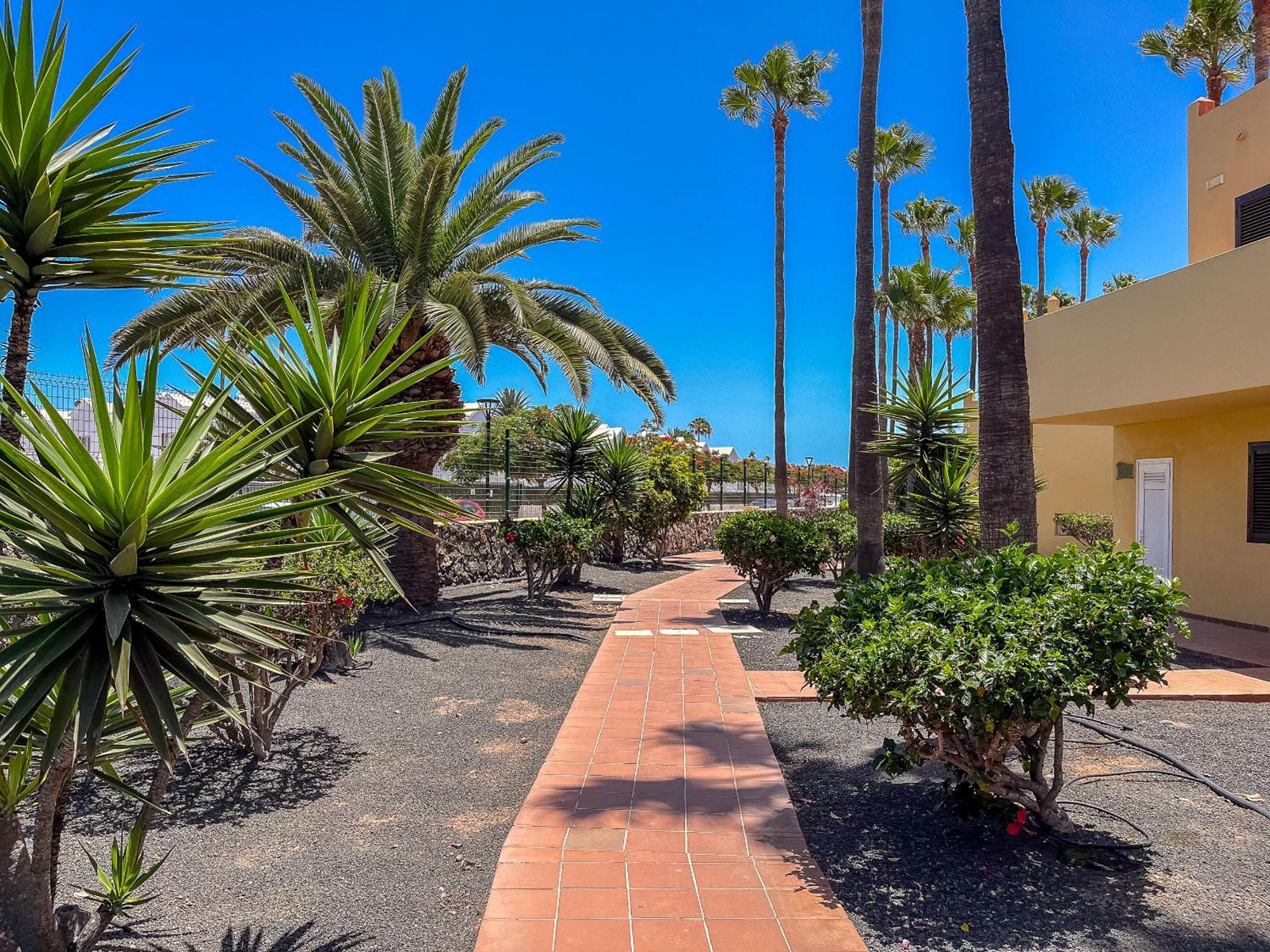 Apartamentos Oasis Royal Corralejo F314 Extérieur photo