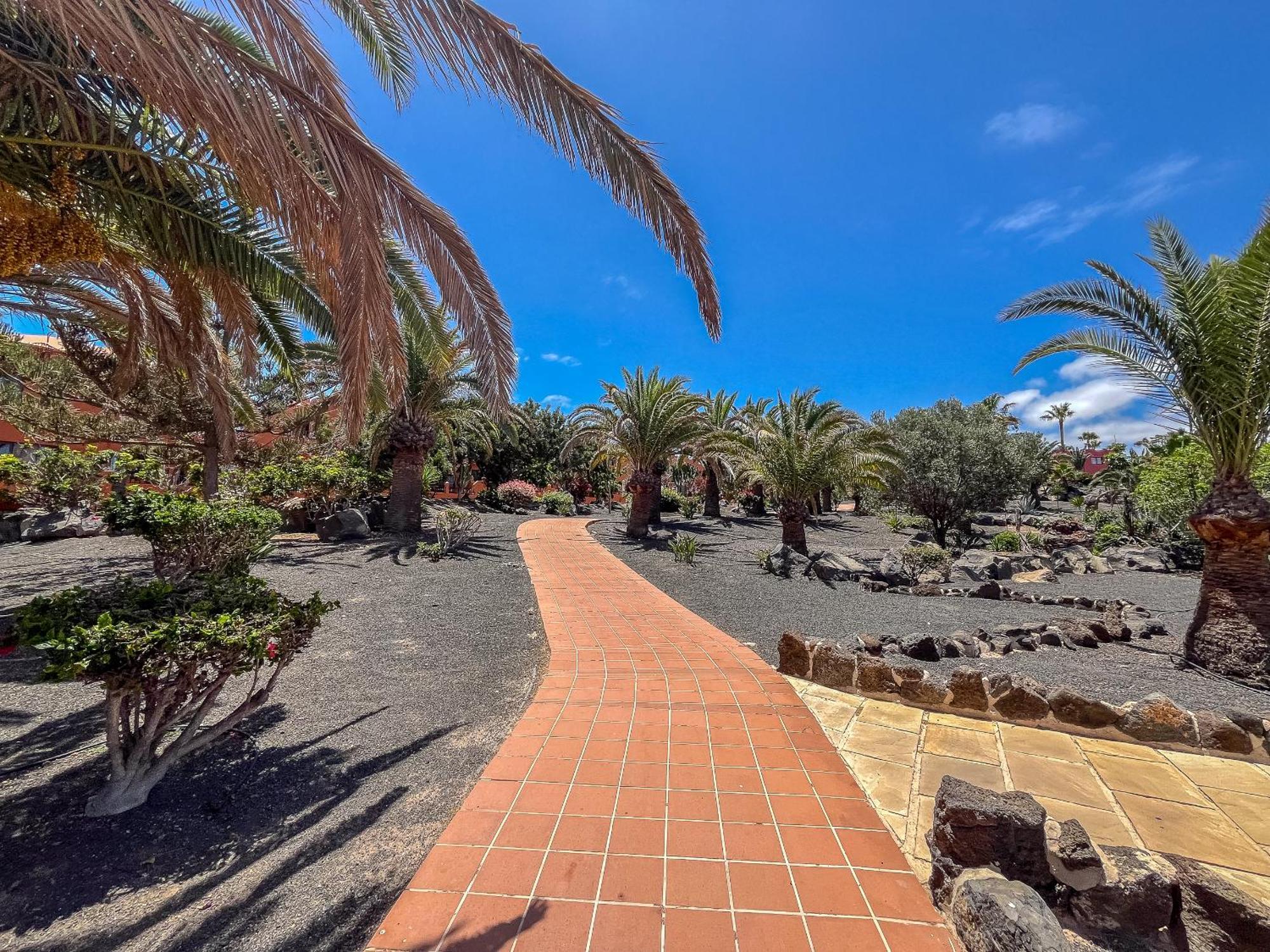 Apartamentos Oasis Royal Corralejo F314 Extérieur photo