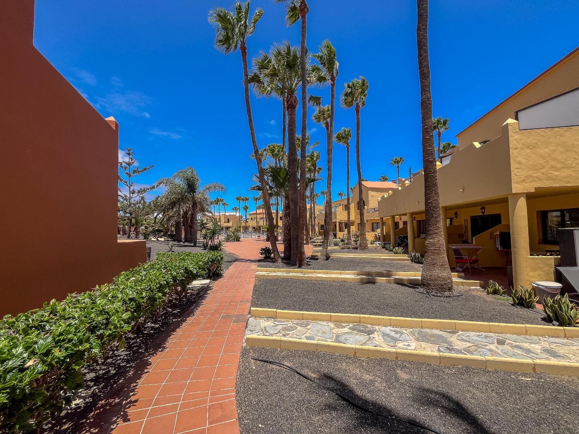 Apartamentos Oasis Royal Corralejo F314 Extérieur photo