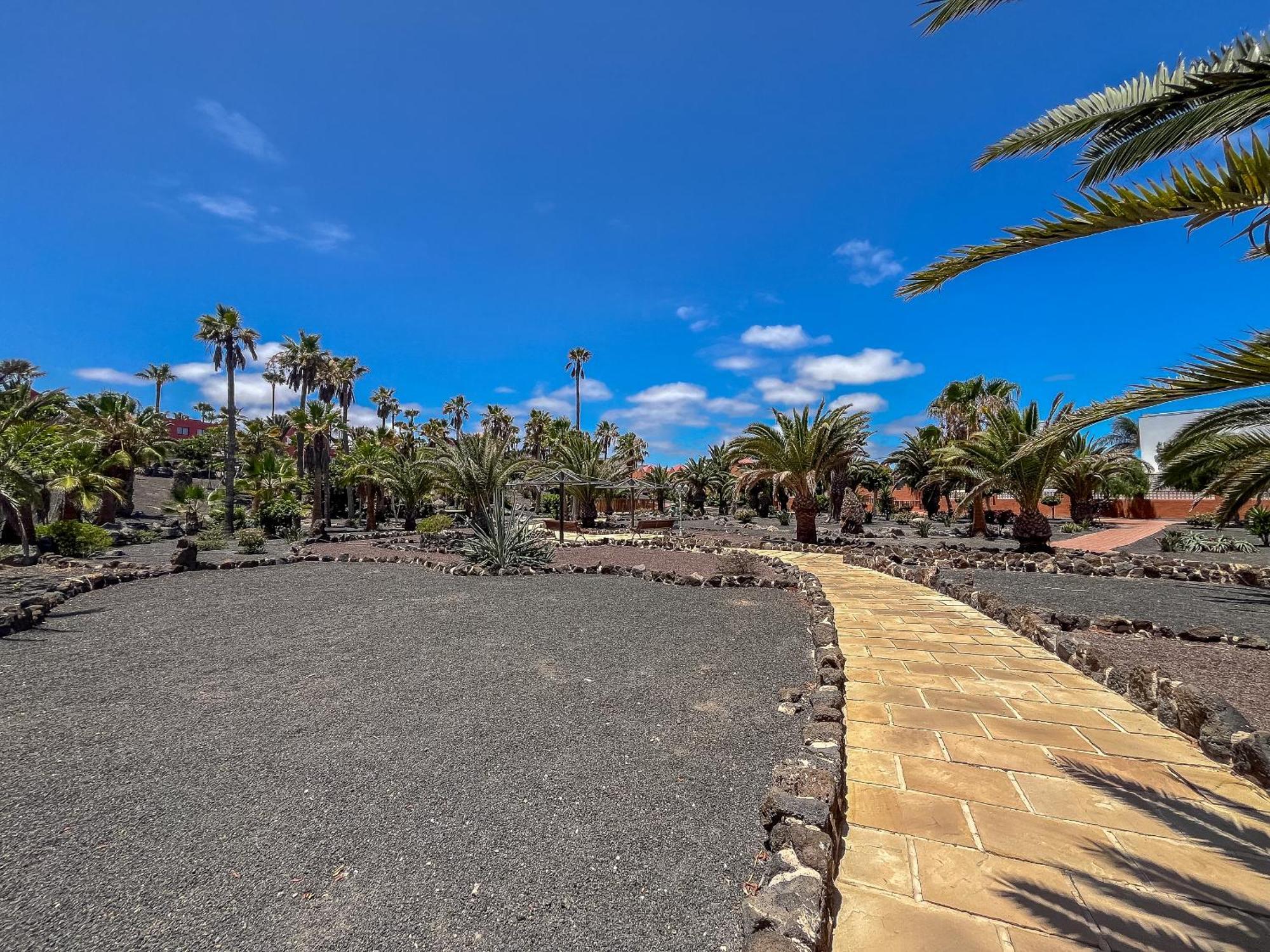 Apartamentos Oasis Royal Corralejo F314 Extérieur photo
