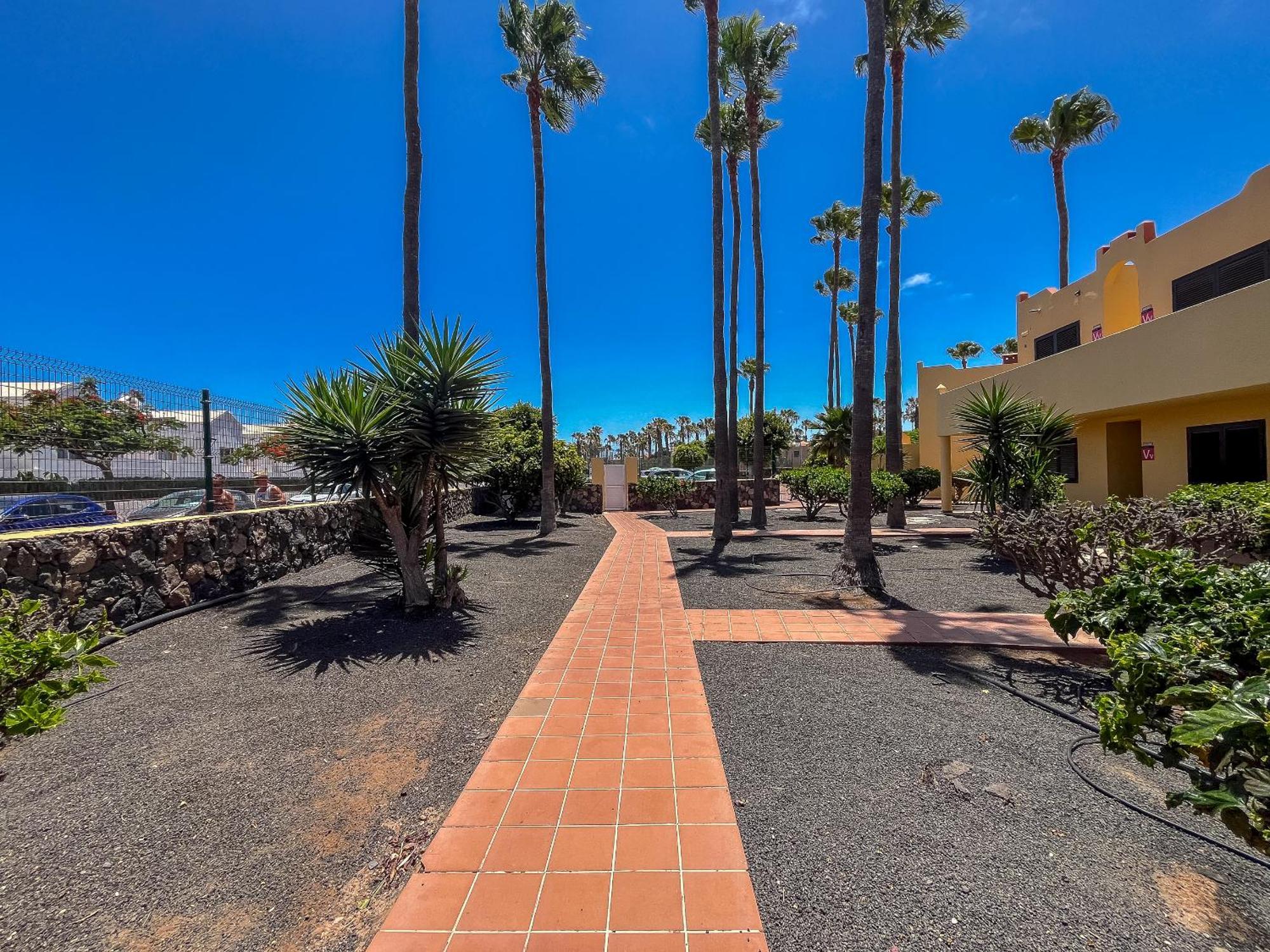 Apartamentos Oasis Royal Corralejo F314 Extérieur photo