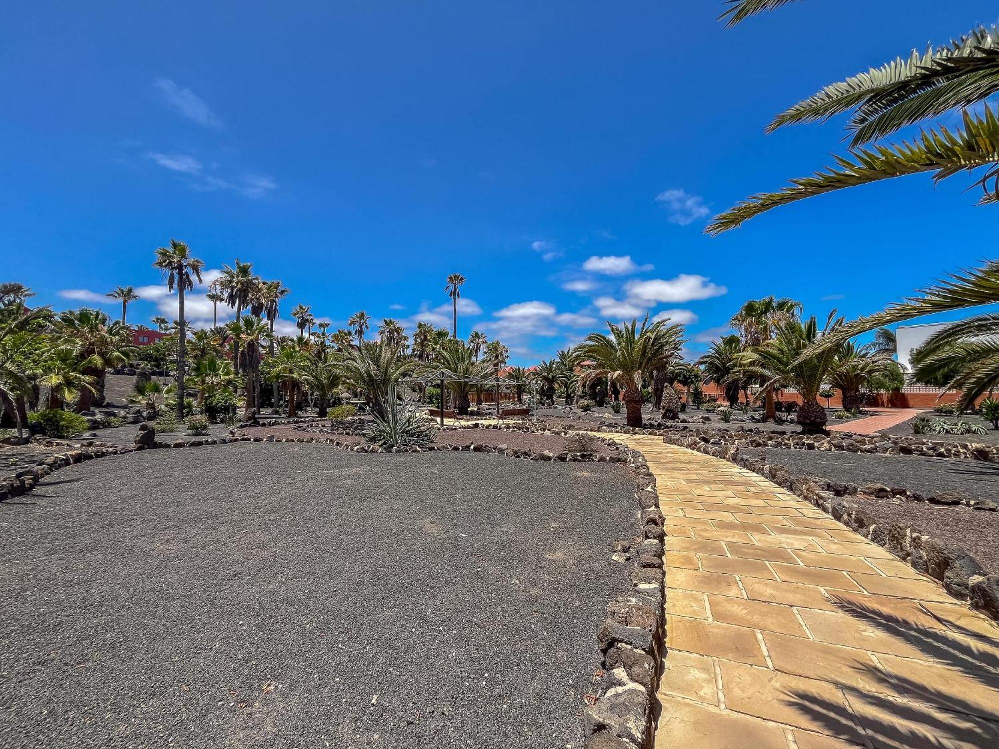 Apartamentos Oasis Royal Corralejo F314 Extérieur photo